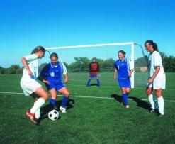 BISON INC 21' X 7' Club Plus 4" X 4" Aluminum Portable Soccer Goals