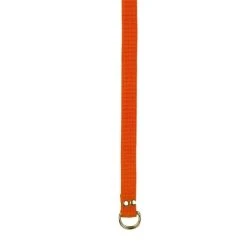 Champion Sports Football Belt Orange
