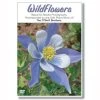 Flaghouse Inc Wildflowers Relaxation Dvd