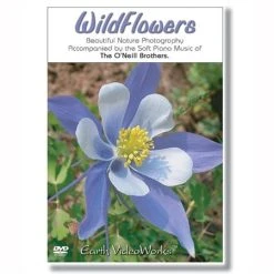 Flaghouse Inc Wildflowers Relaxation Dvd