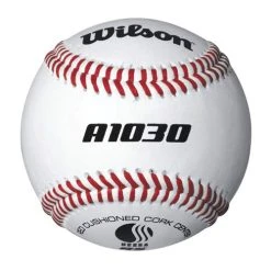 Sport Supply Group Wilson A1030 USSSA