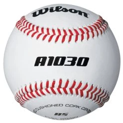 Sport Supply Group Wilson A1030b High School